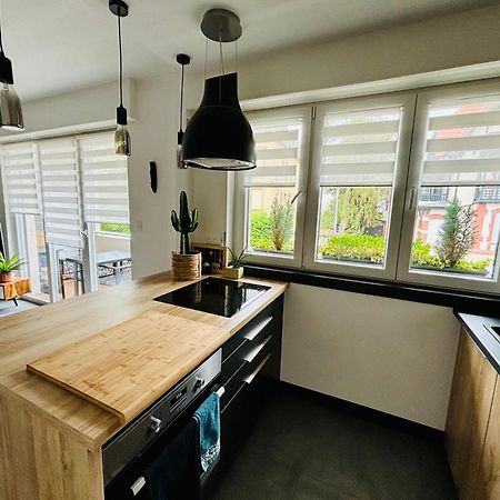Appartement De Standing Proche Centre Ville Et Gare Mulhouse Luaran gambar